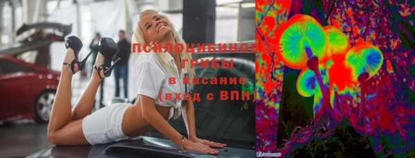 a pvp Рославль