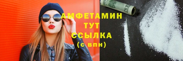 PSILOCYBIN Алзамай