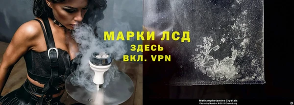 PSILOCYBIN Алзамай