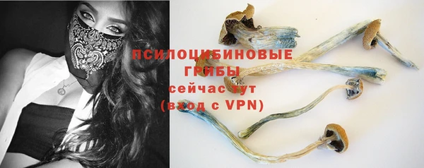 PSILOCYBIN Алзамай