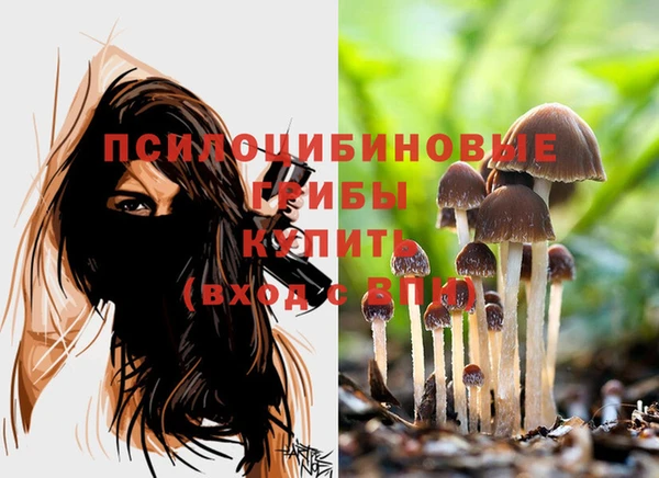 PSILOCYBIN Алзамай