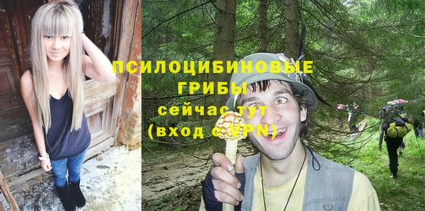 бошки Алексеевка
