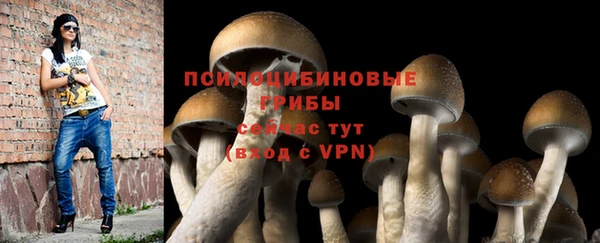 бошки Алексеевка