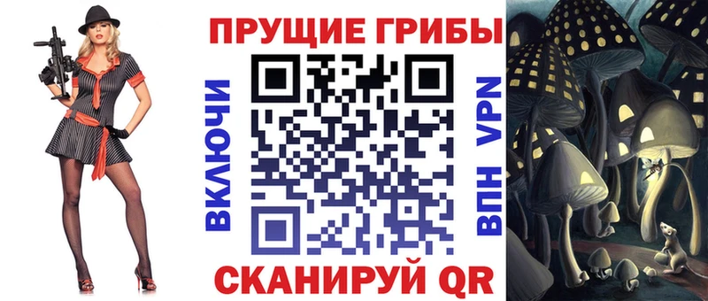 Галлюциногенные грибы Magic Shrooms blacksprut ССЫЛКА Бакал где найти